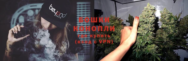 ГАЛЛЮЦИНОГЕННЫЕ ГРИБЫ Касимов