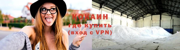 ГАЛЛЮЦИНОГЕННЫЕ ГРИБЫ Касимов