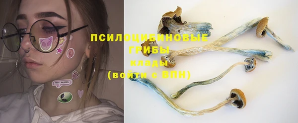 ГАЛЛЮЦИНОГЕННЫЕ ГРИБЫ Касимов