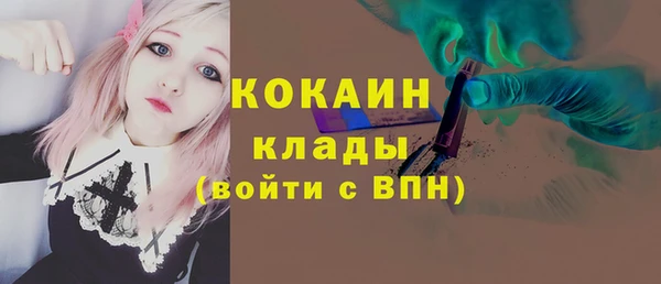крисы Карпинск