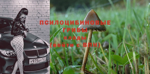 ГАЛЛЮЦИНОГЕННЫЕ ГРИБЫ Касимов
