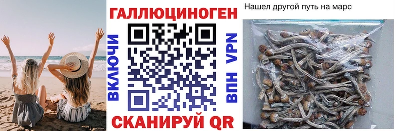 Купить  Инсар  Галлюциногенные грибы ЛСД 
